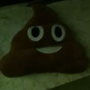 Poop emoji Pillow and cry laugh face emoji pillow